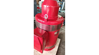 Deep Well Pump Motors