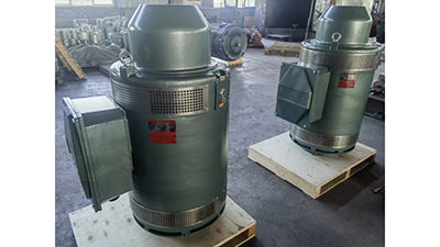 Vertical Turbine Pump Motors