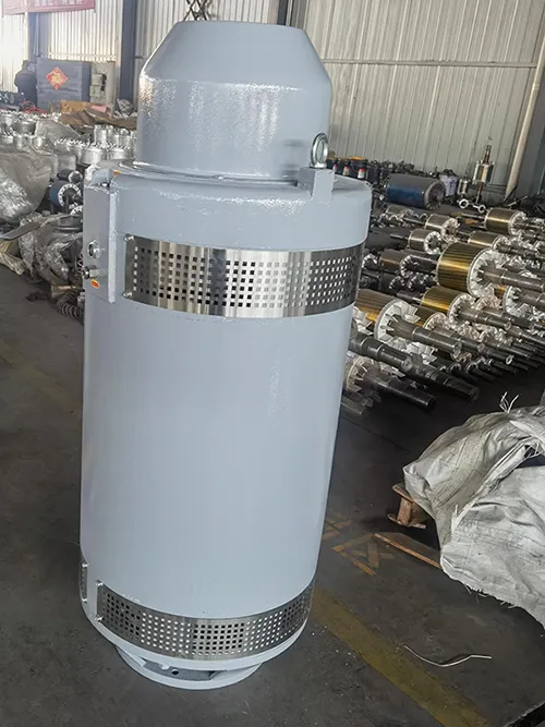 VHS5806P Vertical Hollow-Shaft Motor (500HP, Three Phase Induction Motor)