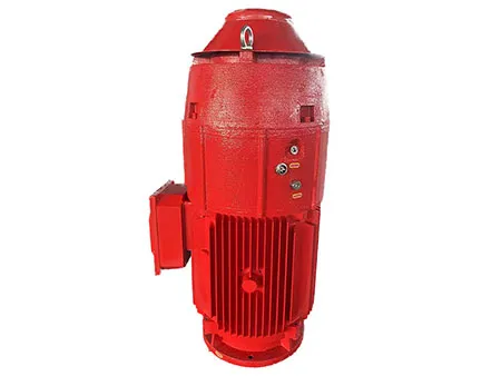 TEFC VHS Motor