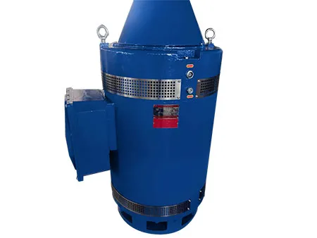 VFD Compatible Deep Well Pump Motor