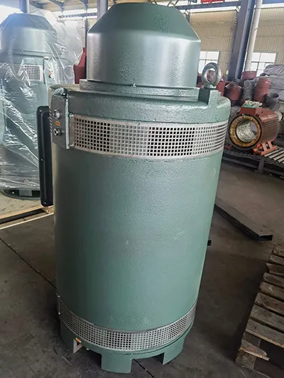 VFD Compatible Deep Well Pump Motor