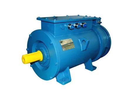 Marine Duty Motor