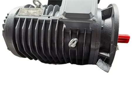 Roller Table Motor