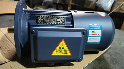 TEFC Three-Phase Asynchronous Motor