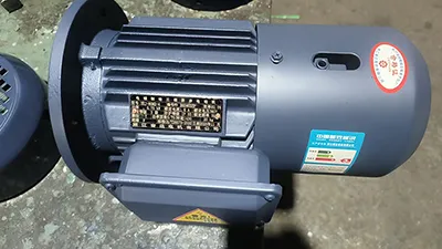 TEFC Three-Phase Asynchronous Motor