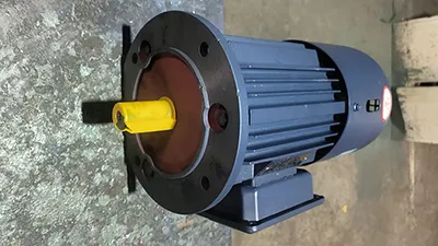 TEFC Three-Phase Asynchronous Motor