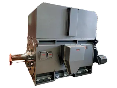 Heavy Duty High Voltage Motor